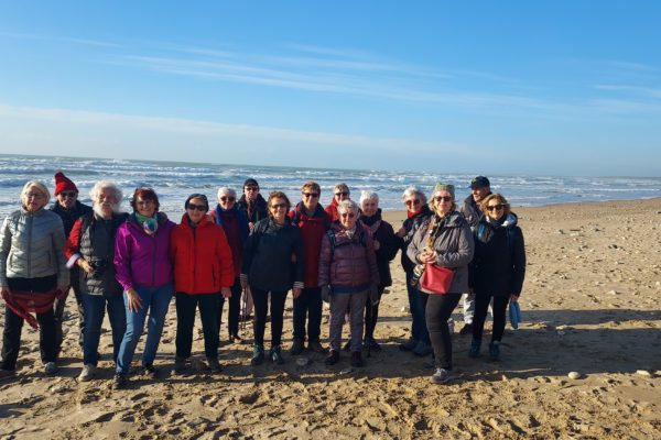 Soleil au zenith et sous bois sympathique
