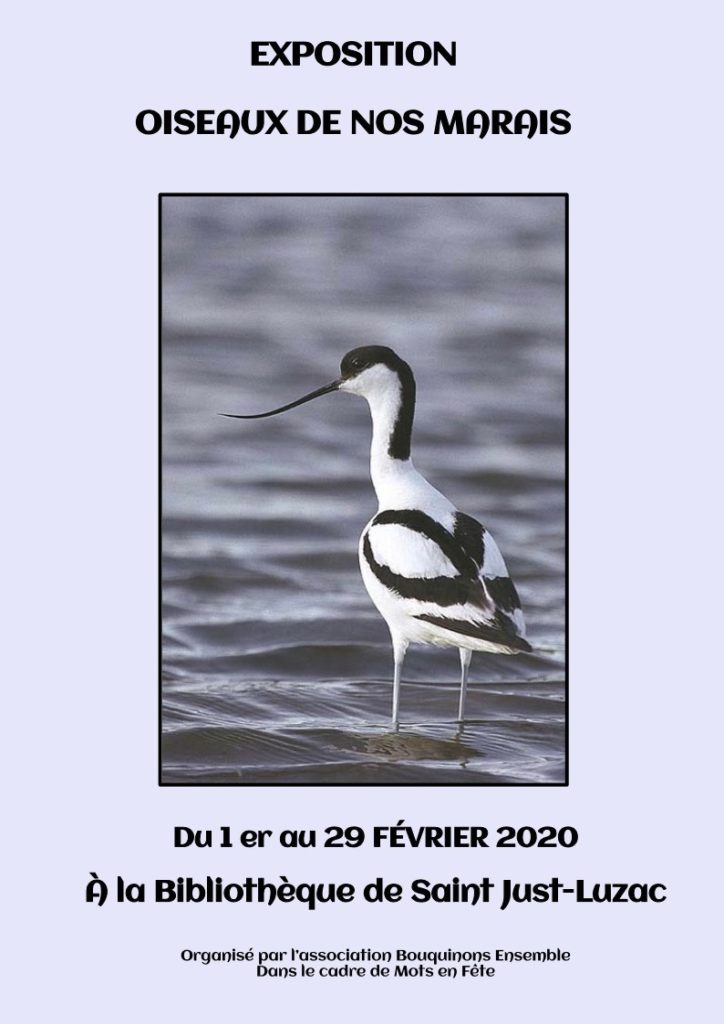affiche oiseaux de nos marais