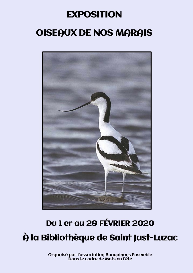 affiche oiseaux de nos marais